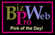 BizProWeb